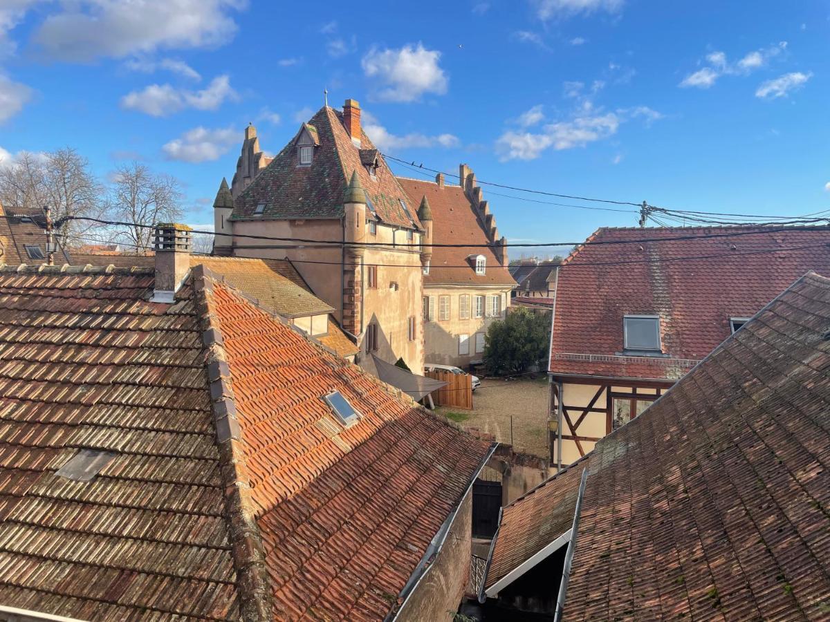 3 Pieces Centre Ville Ville Pittoresques Parking Gratuit A 5 Minutes A Pied Obernai Exterior photo